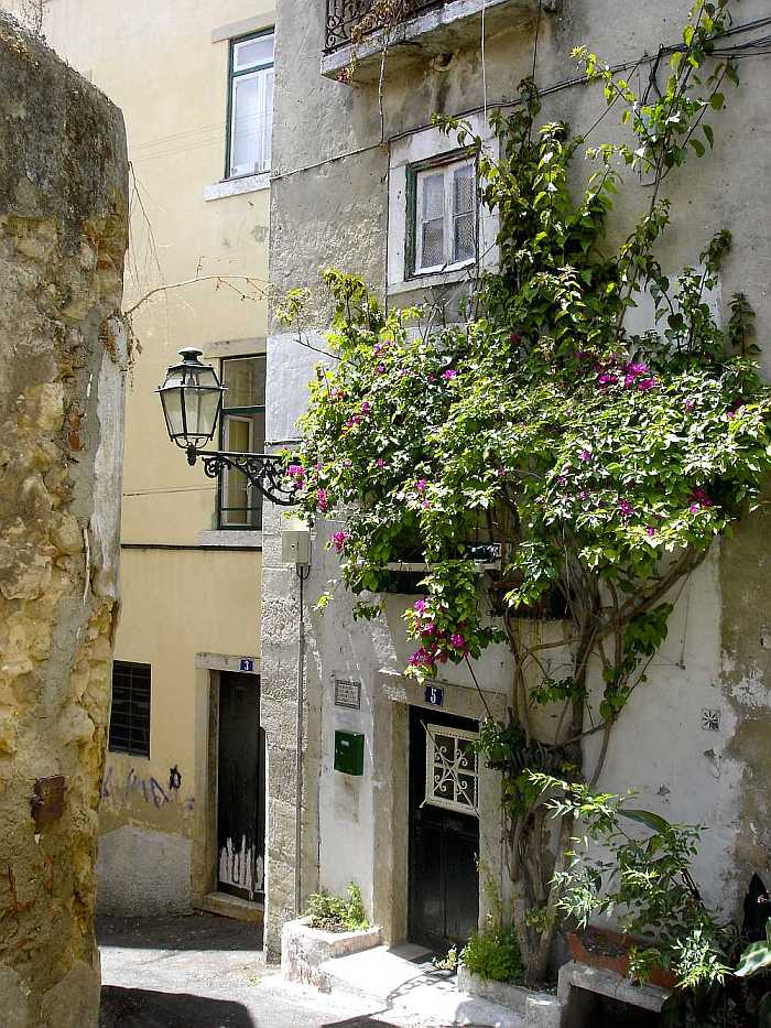 Old Alfama quarter of Lisbon's historic center.